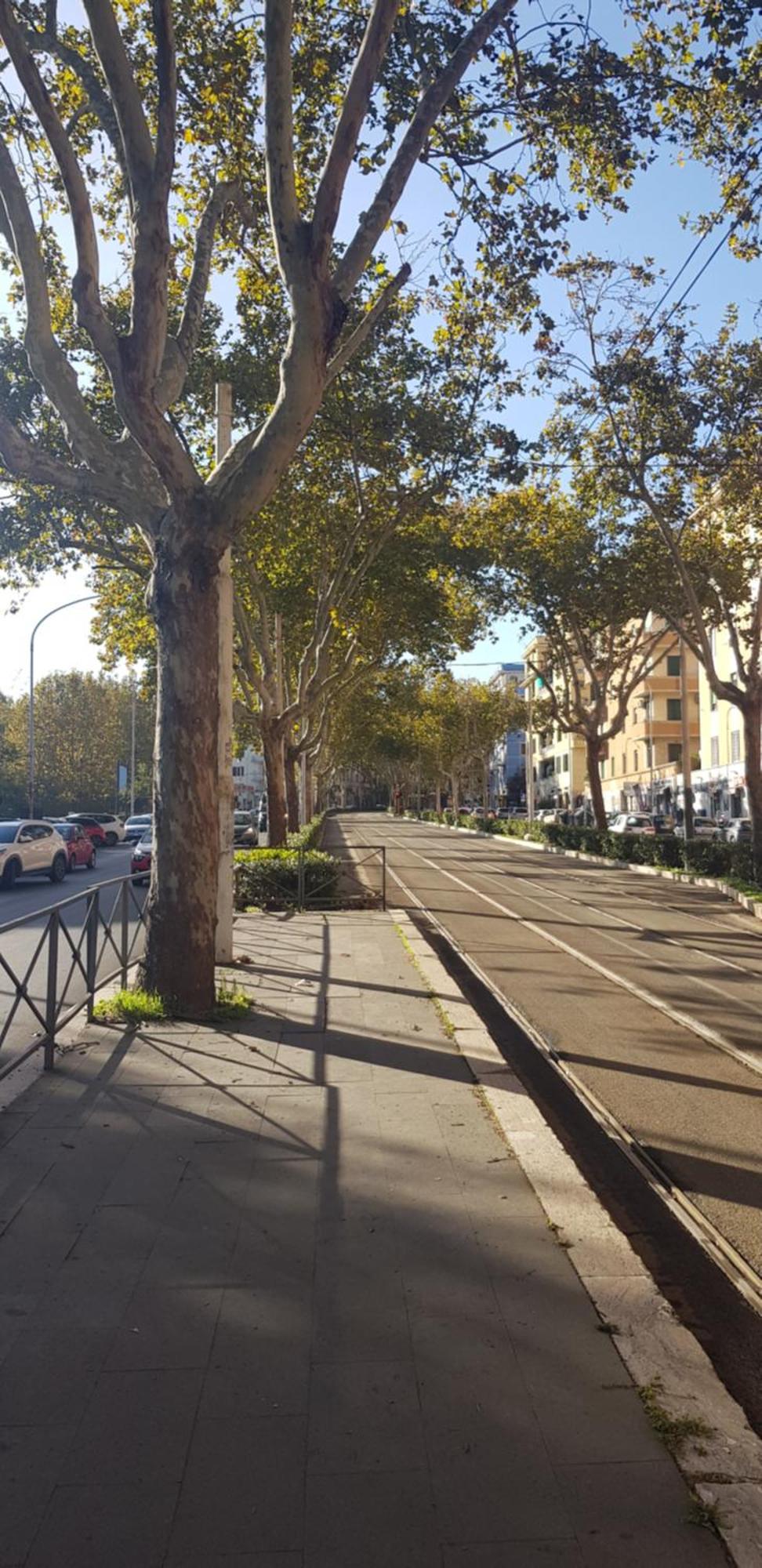 Trastevere Residenze Rome Luaran gambar
